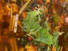 -飞虹鱼馆(春华路店)