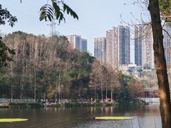 -重庆彩云湖湿地公园