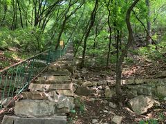 -老象峰