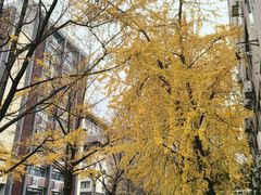 -四川大学(华西校区)