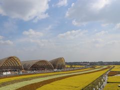 -中国天府农业博览园