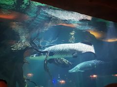 -华夏文旅海洋公园