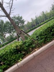-HEYAN长风荷妍专业脱毛美肤
