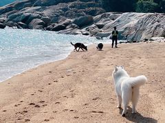 -玫瑰海岸文化旅游度假区
