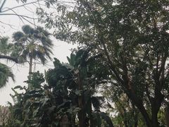 -厦门日月谷温泉渡假村