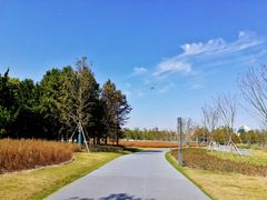 -南汇新城城市公园