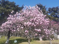 -白塘生态植物园