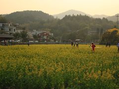 -红山村