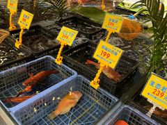 -79号渔船海鲜饭店(岗厦店)