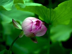 -四川大学(华西校区)