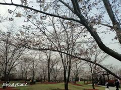 -自然谷恐龙园