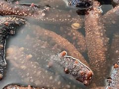 -一德进口食品批发