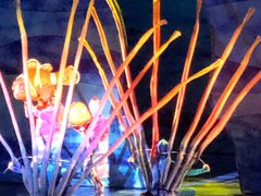 -奥兰多迪士尼动物王国乐园