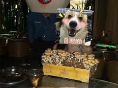 -凤园椰珍·臻品椰子鸡(保利时光里店)