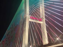 -武汉知音号