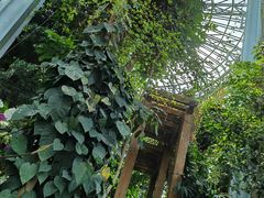 -郑州植物园