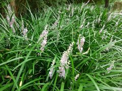 -贵阳市花溪国家城市湿地公园