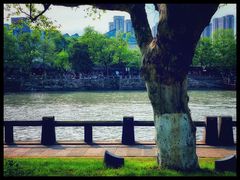 -运河游船(武林门码头)