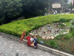 -胡里山炮台