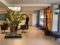 -付军剪艺JF ProSalon