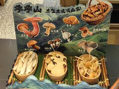 -季季山·云南野生菌火锅(上海首店)