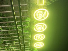 -西西这里民谣酒馆