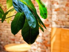 -VOYAGE COFFEE(北锣鼓巷店)