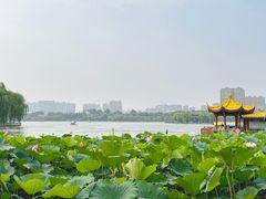 -济南大明湖景区