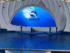 -广州海洋馆