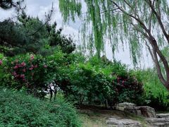 -丰台花园