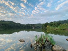 -深圳仙湖植物园