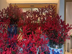 -溪岸路花鸟市场