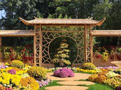 -上海共青森林公园