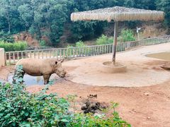 -泉州海丝野生动物世界