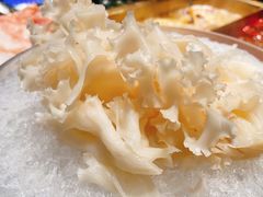 -王家渡火锅店(棕榈泉店)