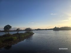 -芒洲湿地公园