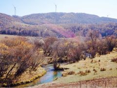 iphone_upload_pic-塞罕坝国家级自然保护区