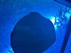 -珠海长隆海洋王国