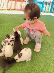 -萌宠亲子动物乐园(槐房万达店)