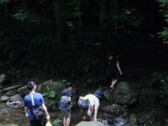 -龙窝子