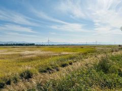 -野鸭湖国家湿地公园
