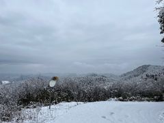 -武陵山森林公园
