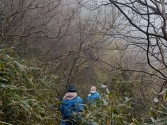 -宁波五龙潭景区