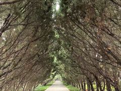 -洛阳市隋唐城遗址植物园