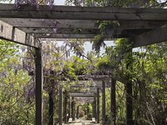 -缥缈峰景区