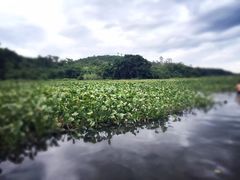 -海南文笔峰盘古文化旅游区
