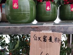 -龙大花卉苗木市场