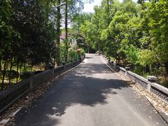 -青龙山国家森林公园