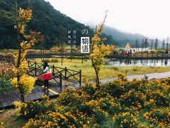 -广州市石门国家森林公园