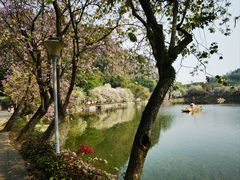 -星湖旅游景区七星岩